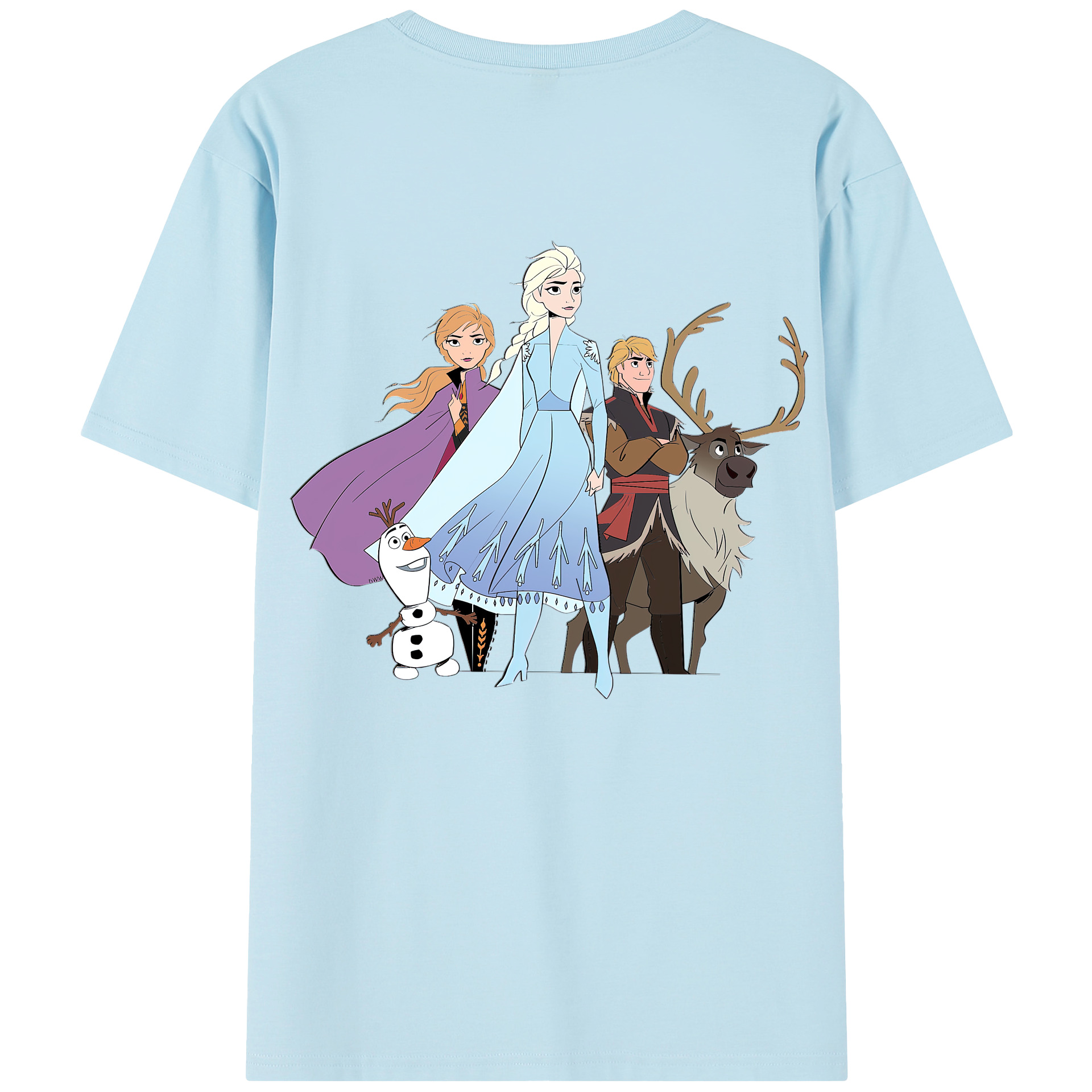 （画像用） アナと雪の女王 アンナ エルサ Frozen Anna Elsa 綿100％半袖Tシャツ（背面プリント）